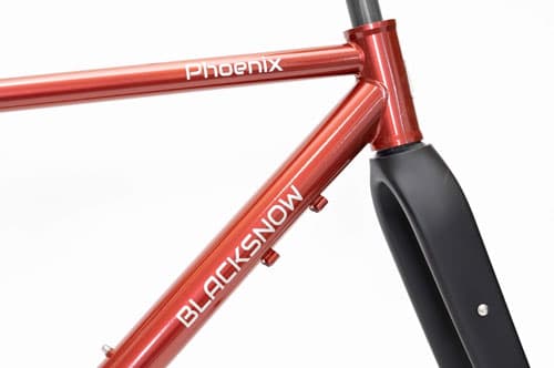 Xe đạp Phoenix, hãng xe đạp của bề dày lịch sử