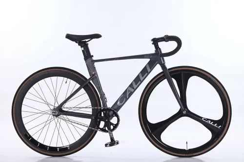 Xe đạp Fixed Gear R2.0 FX xám